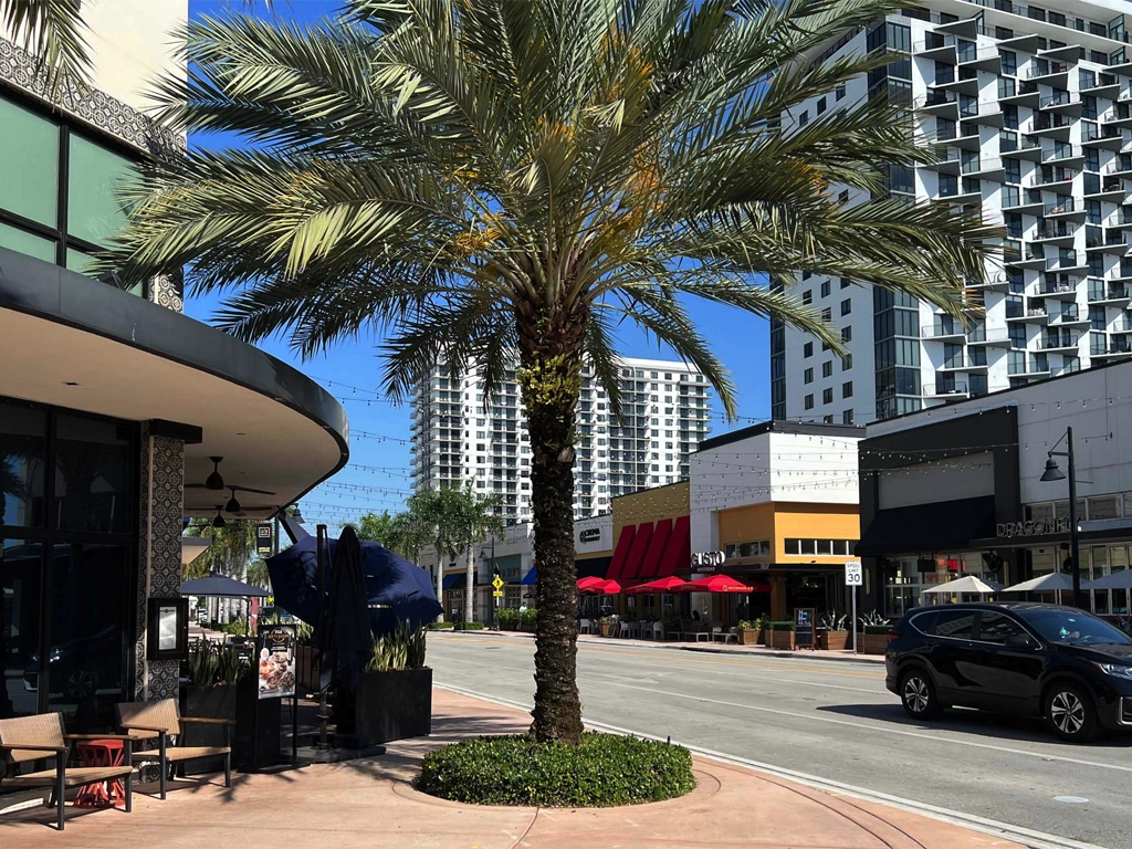 Doral dental practice technology support
