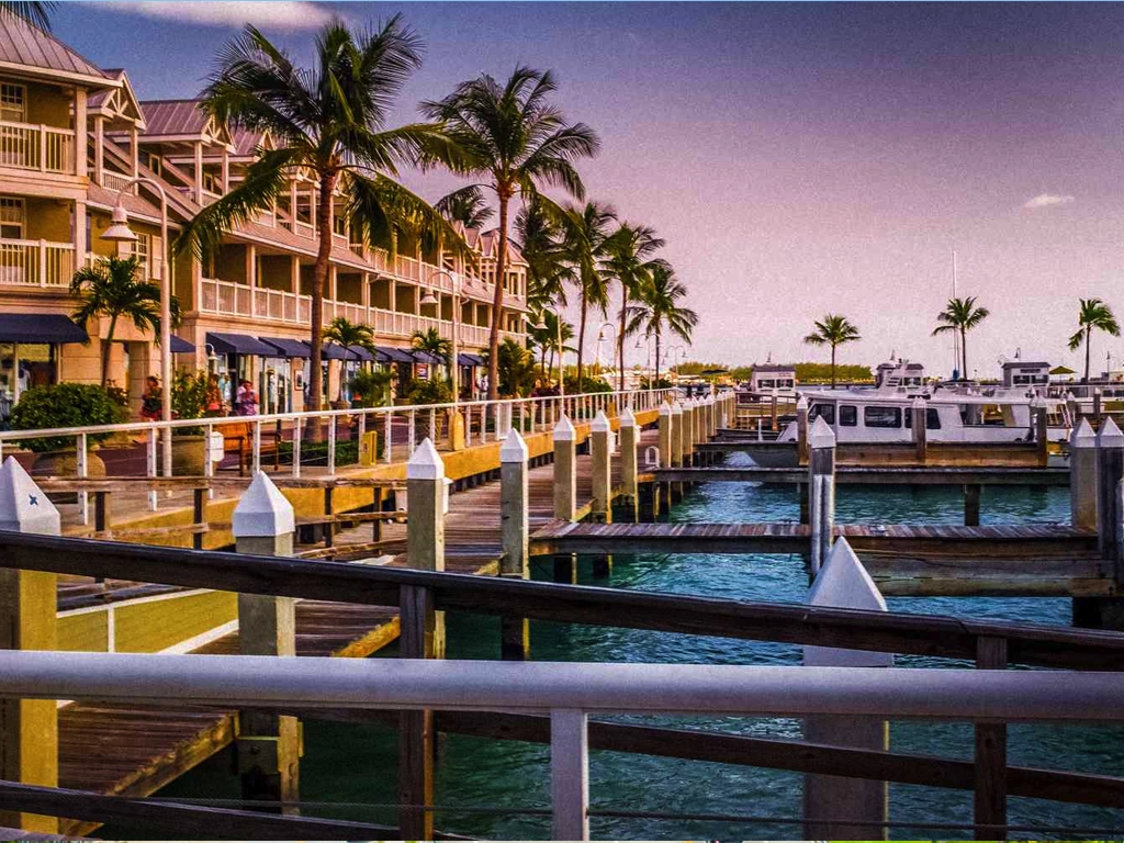 Key Largo dental practice technology support